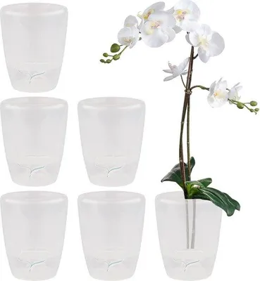 Immagine prodotto di Vasi per orchidee con sistema di auto-irrigazione, diametro 12 cm, trasparenti, set da 6