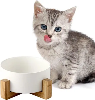 Immagine prodotto di Vasca per cani