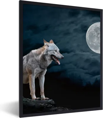Produktbild von MuchoWow® Gerahmtes Poster Wolf - Mond - Nacht - Tiere - Porträt 60x80 cm - Poster mit Schwarzem Bilderrahmen Wandposter Rahmen Foto Bilder - Premium - Wanddeko Wohnzimmer