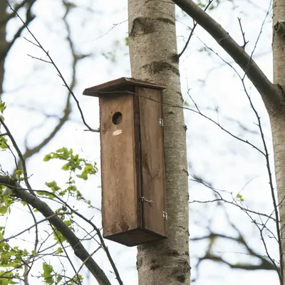 Produktbild von Rustikaler Nistkasten für den Buntspecht, Kiefernholz, H. 54,5 cm
