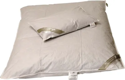 Produktbild von Set Kinder Winter Daunenbett  Daunendecke 100x135 + Kopfkissen 40x60  100% Daunen