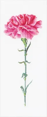 Produktbild von Thea Gouverneur Kreuzstich Stickpackung "Nelken rosa Aida", Zählmuster, 17x42cm