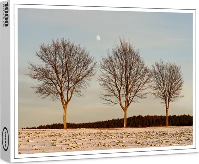 Produktbild von raxxa Premium-Puzzle "Abendlicht im Winter", 1000 Teile