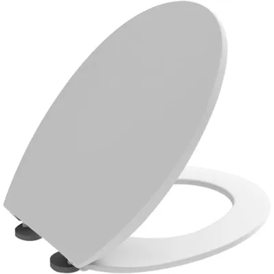 Immagine prodotto di sedile wc universale