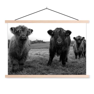Produktbild von MuchoWow® Textilposter Schottische Highlander - Kühe - Natur - Grün - Gras 60x40 cm mit holzfarbenen Rahmen - Bilder