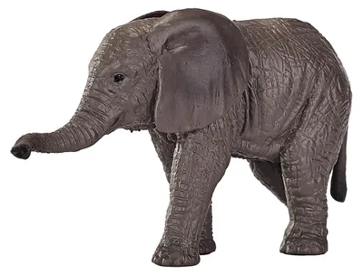 Image de Mojo Wildlife, Afrique du Sud : Jeune éléphant - 387190