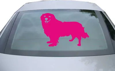 Produktbild von Indigos UG - Aufkleber Heckscheibe & Motorklappe DE7052 - pink - 600x415 mm - Retriever Hunderasse - Auto Scheiben Fenster Heckklappe Tuning Racing JDM - Die cut