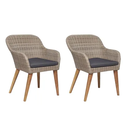 Image de vidaXL Chaises de jardin avec coussins 2 pcs. Poly Rotin Marron - Chaises de jardin