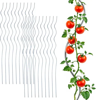 Obrázek produktu pro 3.10 spirálových tyčí na rajčata v sadě po 20 - 110 cm - pozinkované zahradní tyče na rostliny (2x 10 kusů)