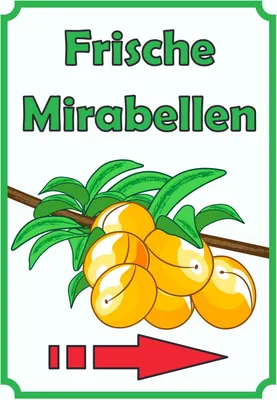 Produktbild von Frische Mirabellen Schild Hochkant mit Pfeil rechts A2 Rückseite selbstklebend