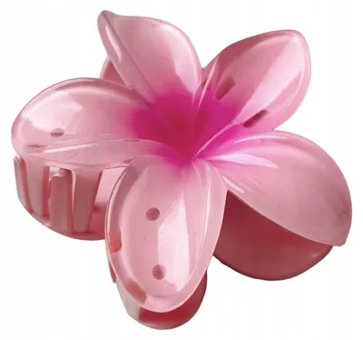 Produktbild von Sajbazar Große rosa Haarspange Blume Boho Hawaii Stil