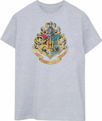Produktbild von Harry Potter - T-Shirt für Herren BI1189 (M) (Grau)