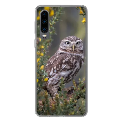 Produktbild von MuchoWow® Handyhülle Schutzhülle Hülle für Huawei P30 Eine kleine braune Eule sitzt da und starrt nach vorne Silikon Softcase Handy Hülle - Kartenbesitzer