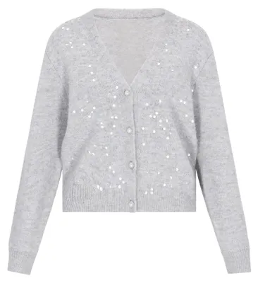 Immagine prodotto di Maglione da donna Jeona - Grigio chiaro melange.
Maglione da donna Jeona - Grigio chiaro melange, taglia XS/S