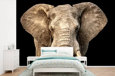Produktbild von MuchoWow® Fototapete für Wohnzimmer oder Schlafzimmer Wandtapete Vinyl Motivtapete Elefant - Porträt - Schwarz - 390x260 cm - Papiertapete