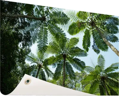 Produktbild von Gartenposter - 120x80 cm - Bäume und Blätter im Dschungel  - Modernes Wandbilder - Natur