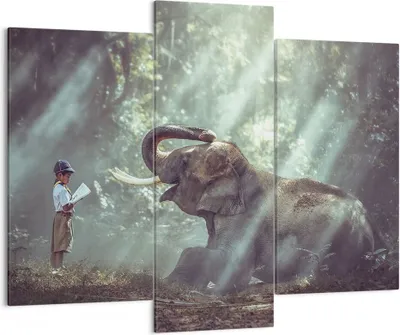 Produktbild von Bild auf Leinwand - Leinwandbild - Elefant Dschungel Stoßzahn - 130x100cm - Wand Bild - Wanddeko - Leinwanddruck - Bilder - Kunstdruck - Wanddekoration - Leinwand bilder - Wandkunst - CB130x100-3486