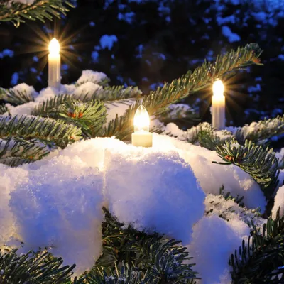Produktbild von NARVA Außen Lichterkette 20 Kerzen Beleuchtung für Weihnachtsbaum Perlmutt 19m