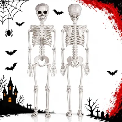 Obrázek produktu pro Halloweenská lebka z plastu, 90 cm, s pohyblivými klouby, dekorace do zahrady