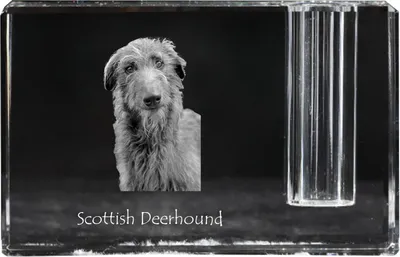 Obrázek produktu pro Deerhound - Stojan na pera, křišťálový organizér s fotografií psa, jedinečná dekorace na stůl od značky Art-Dog