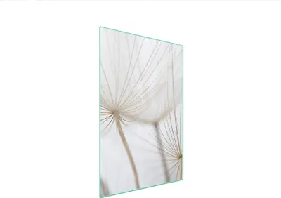 Produktbild von Herdabdeckplatte 35x52 Glaskeramikkochfeld Abdeckung Spritzschutz Glasplatte Deko Schneidebrett Löwenzahn Beige