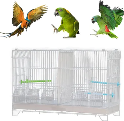 Produktbild von Vogelkäfig käfig Wellensittich Vogelvoliere Vogelhaus für Brutperiode mit Trennwand 60x26x39.5cm Weiß