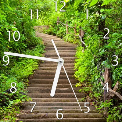 Produktbild von Wallario Design Wanduhr Steintreppe im Wald aus Echtglas, Größe 20 x 20 cm