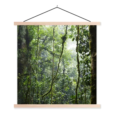Produktbild von MuchoWow® Textilposter Tropischer Regenwald 120x120 cm mit holzfarbenen Rahmen - Textil-Poster