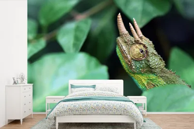 Produktbild von MuchoWow® Fototapete für Wohnzimmer oder Schlafzimmer Wandtapete Vinyl Motivtapete Verstecktes Chamäleon zwischen den Blättern - 390x260 cm - Papiertapete