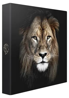 Image de Album Photo Pochette lion 200 Photos 10x15 cm