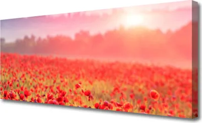 Produktbild von Tulup Leinwand-Bilder 125x50 Wandbild Canvas Kunstdruck Wiese Blumen Natur