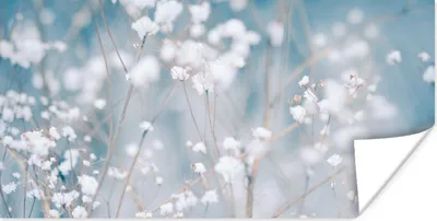Produktbild von MuchoWow® Poster Äste - Schnee - Winter - Natur - Botanisch 160x80 cm - Foto Poster