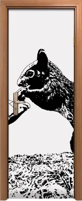 Produktbild von Türposter 70x200 cm Türaufkleber Türtapete Türfolie Klebefolie Eichhörnchen isst Erdnüsse