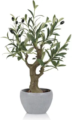 Image de Unyqoos® Arbre artificiel d'olivier, 52 cm – Plante artificielle réaliste avec un tronc en plastique et des feuilles en tissu, présentée dans un pot en céramique, idéale pour le salon et le bureau