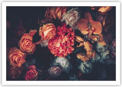 Produktbild von Poster - Poster ohne Rahmen - Blumenstrauß Blumen Rosen - 100x70 cm - Wand Bild - Wanddeko - Wandbilder - Kunstposter - Wandposter - Bilder - Kunstdruck - Wanddekoration - Wandbild - P2XAA100x70-5002