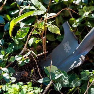Produktbild von Famanu Gartenkelle mit scharfem Punkt - Rot
