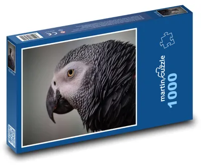 Produktbild von Puzzle 1000 Graupapagei aus Afrika - martinpuzzle