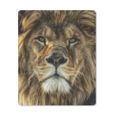 Obrázek produktu pro Podložka pod myš - Portrét - Lev - Zvířata - 30x40cm - Podložka pod myš
