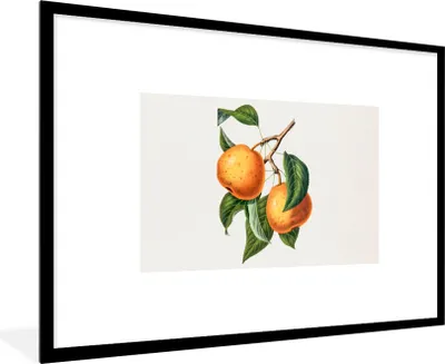 Produktbild von MuchoWow® Gerahmtes Poster Orange - Blatt - Pflanze 90x60 cm - Poster mit Schwarzem Bilderrahmen Wandposter Rahmen Foto Bilder - Wanddekoration - Fotos