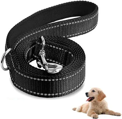 Produktbild von Unyqoos® Hundeleine – leichte Nylonleine mit reflektierendem Garn, 180×2 cm, komfortabler Schaumstoffgriff, 360° drehbarer Edelstahl-Haken, für kleine Hunde bis 10 kg