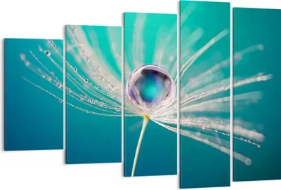 Produktbild von Bild auf Leinwand - Leinwandbild - Pflanze Natur - 150x100cm - Wand Bild - Wanddeko - Wandbilder - Leinwanddruck - Bilder - Kunstdruck - Wanddekoration - Leinwand bilder - Wandkunst - EG150x100-3991
