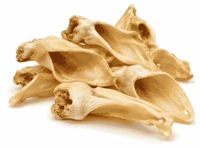 Produktbild von Ziegenohren getrocknet 500 g – natürlicher Kausnack für Hunde, 100 % Ziege, ohne Konservierungsstoffe, Ergänzungsfuttermittel