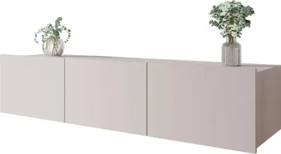 A modern, minimalist TV lowboard with three doors, decorated with two vases of greenery.