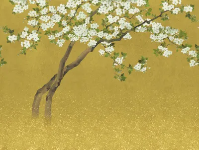 Produktbild von Sanders & Sanders Fototapete Kirschblüten Ockergelb 371 x 280 cm