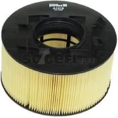Obrázok produktu pre Vzduchový filter PURFLUX (A1219) pre automobil BMW 3