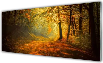 Produktbild von Acrylglasbilder 125x50 Wandbild Druck Wald Natur