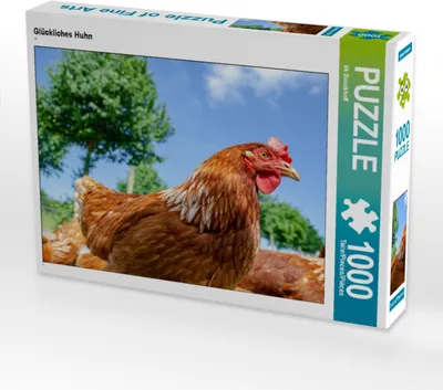 Produktbild von CALVENDO Puzzle Glückliches Huhn | 1000 Teile Lege-Größe 64x48cm Foto-Puzzle für glückliche Stunden