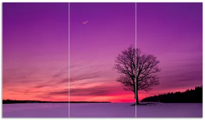Produktbild von Wallario Herdabdeckplatte aus Glas, Größe 90 x 52 cm 3-teilig, Motiv Mond und Baum am Abend bei Schnee