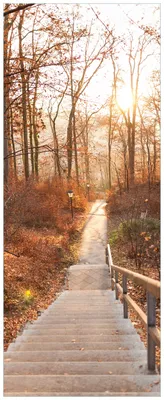 Produktbild von Wallario Premium Glasbild, freischwebende Optik, kräftige Farben, Größe 80 x 32 cm Motiv Weg in den Sonnenuntergang