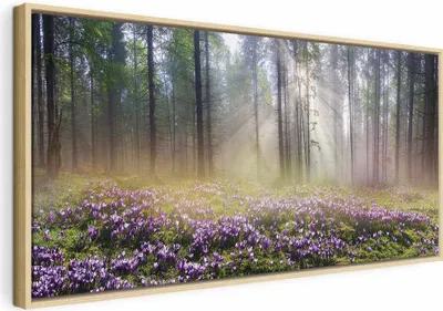 Produktbild von Italienischer Leinwand Leinwandbild - Purple Meadow (1 Part) Wide 120x60 cm Landschaften c-B-0373-b-a